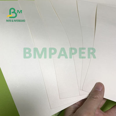 placa de papel do estoque do copo 230gsm + 18gsm segura nenhuma especialidade do cheiro para bacias do macarronete