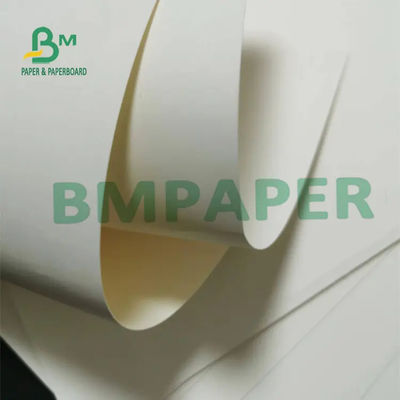 o PE 300g + 15g branco revestiu o produto comestível de papel conservado em estoque do copo impermeável para fazer o copo