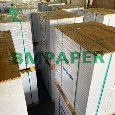 branco natural de papel sem revestimento da mancha de 0.5mm no rolo para gaxetas da garrafa