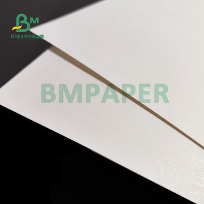 230gsm + 15 PE Matt Laminated Cup Stock Paper para bebidas quentes 882mm