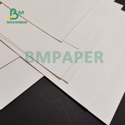 230gsm + 15 PE Matt Laminated Cup Stock Paper para bebidas quentes 882mm