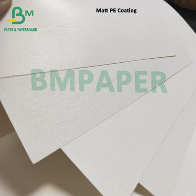A placa de papel personalizada do estoque branco do copo com 1 PE do PE 2 revestiu sem revestimento