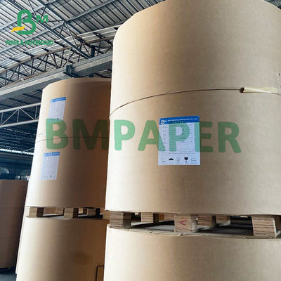A placa de papel personalizada do estoque branco do copo com 1 PE do PE 2 revestiu sem revestimento