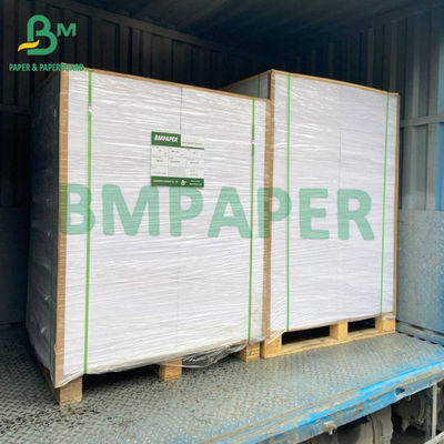 rolo revestido branco do papel do congelador 215gsm para o empacotamento do recipiente de alimento