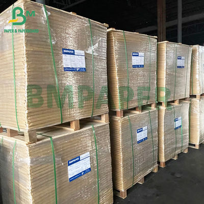 rolo revestido branco do papel do congelador 215gsm para o empacotamento do recipiente de alimento