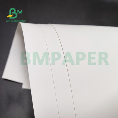 Parte traseira branca lateral 350gsm 36&quot; do rolo 1 de papel FBB do congelador da polpa do Virgin X 48&quot; para o pacote dos cuidados médicos