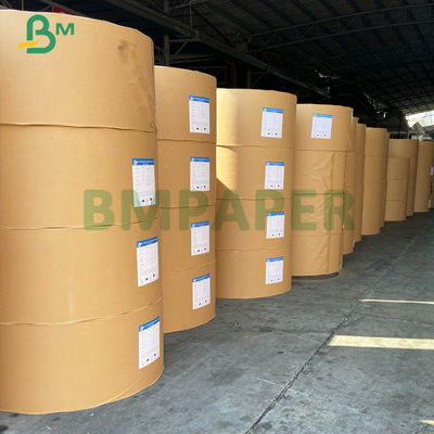 O alimento do contato direto e o lado de empacotamento da placa de papel uma da bebida revestiram