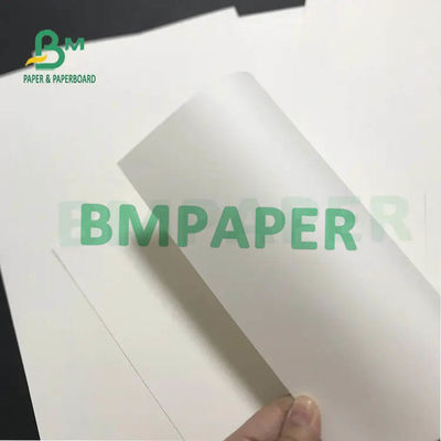 O copo branco Rolls de papel 230g 250g PE de 270g + de 15g 20g laminou um lado