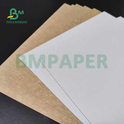 250gsm 300gsm C1S Kraft para trás revestiu a placa frente e verso para o cofre forte do alimento da caixa da salada