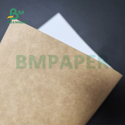 250gsm 300gsm C1S Kraft para trás revestiu a placa frente e verso para o cofre forte do alimento da caixa da salada