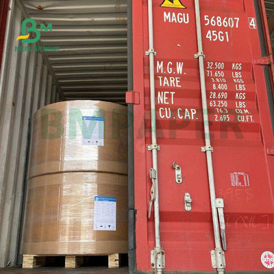 250gsm 300gsm C1S Kraft para trás revestiu a placa frente e verso para o cofre forte do alimento da caixa da salada