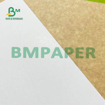 Rolo de papel 200g 300g do congelador revestido branco da parte traseira de Kraft para Overpacks congelados do alimento