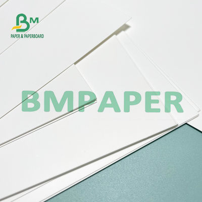 Papel sintético solvente Untearable de Eco PP para a exposição exterior