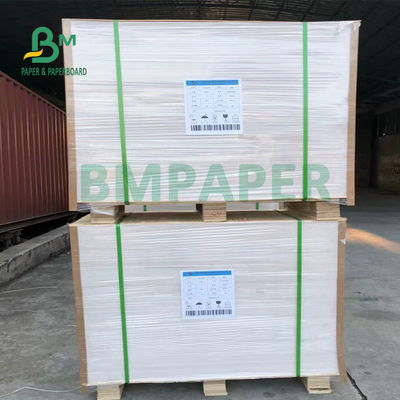 placa absorvente super da pousa-copos da água de 230gsm 280gsm branco natural de 615mm x de 860mm
