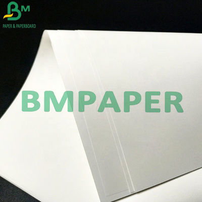 Livro Branco resistente do rasgo 230um impermeável sintético do ANIMAL DE ESTIMAÇÃO para a impressora a jato de tinta