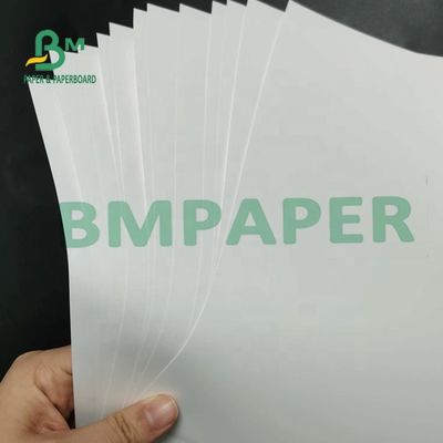 papel sintético não Tearable Matte Surface For Maps de 180um PP