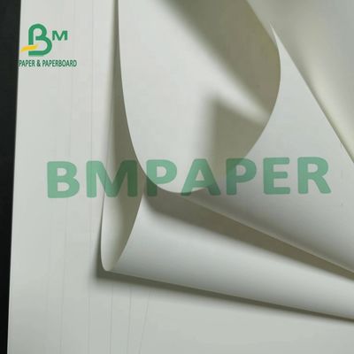 papel sintético não Tearable Matte Surface For Maps de 180um PP