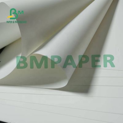 papel sintético não Tearable Matte Surface For Maps de 180um PP