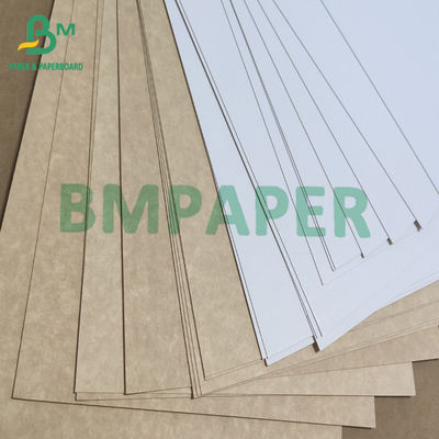 Parte traseira revestida branca 325gsm de papel de Kraft da placa da caixa de dobramento do alimento