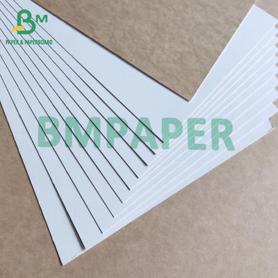 Parte traseira revestida branca 325gsm de papel de Kraft da placa da caixa de dobramento do alimento