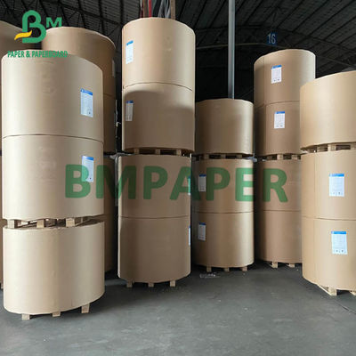 Placa de marfim 200gsm de FBB SBS ao jumbo Rolls de 400gsm 750mm 900mm