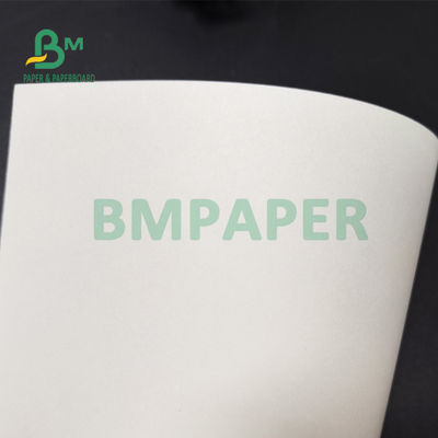 o PE de 210gsm +15g laminou o cartão para o produto comestível 882mm de copos de papel