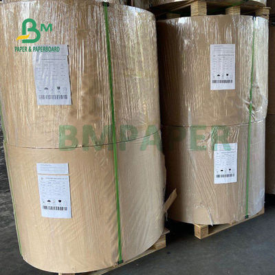 o PE de 210gsm +15g laminou o cartão para o produto comestível 882mm de copos de papel