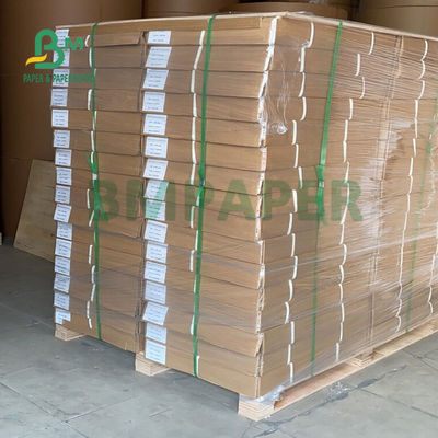 24&quot; rolo do papel de plotador do modelo do X.500 Ft para o CAD que imprime 80gsm
