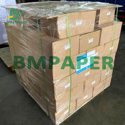 Impressora térmica Paper Rolls BPA do recibo de 55 G/M livre para a posição