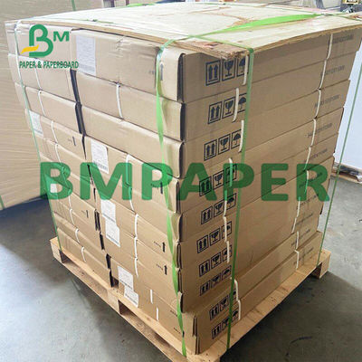 Impressora térmica Paper Rolls BPA do recibo de 55 G/M livre para a posição