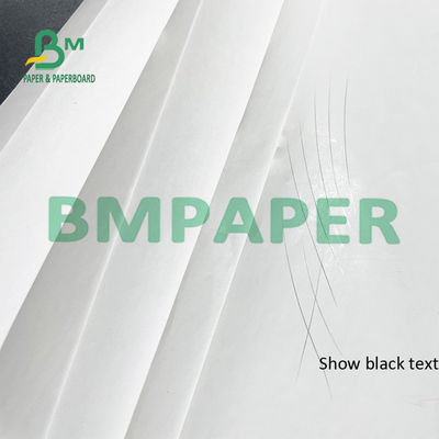 Impressora térmica Paper Rolls BPA do recibo de 55 G/M livre para a posição