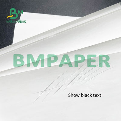 Impressora térmica Paper Rolls BPA do recibo de 55 G/M livre para a posição