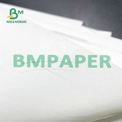 48 categoria de Paper Roll 50 Rolls A da impressora térmica da G/M para sistemas da posição