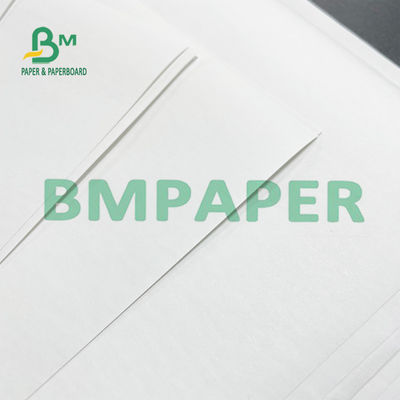 48 categoria de Paper Roll 50 Rolls A da impressora térmica da G/M para sistemas da posição