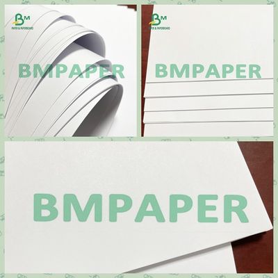 Desloque a impressora White Paper Sheet 120 G/M sem revestimento para insetos