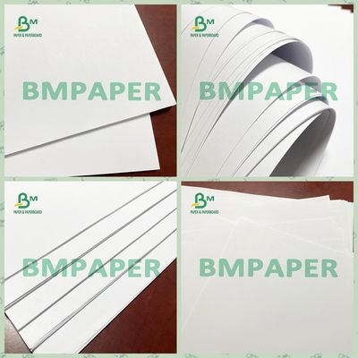Desloque a impressora White Paper Sheet 120 G/M sem revestimento para insetos