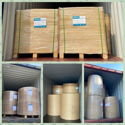 Desloque a impressora White Paper Sheet 120 G/M sem revestimento para insetos