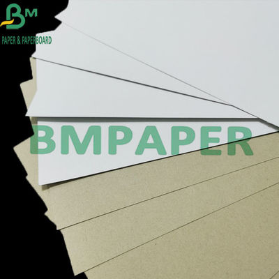 Placa 300gsm revestida frente e verso de empacotamento com a anti onda de Grey Back C1S