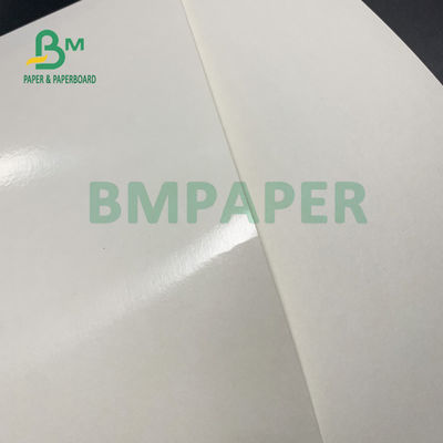 PE 135gsm + 18gsm uns cofre forte &amp; contato revestidos do papel do copo do lado com alimento