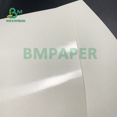 Brilho de papel e Matt Finish do copo revestido do PE do produto comestível 135gsm+10gsm