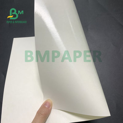papel baixo do copo revestido do polietileno 135gsm + 20gsm para a bacia de sopa