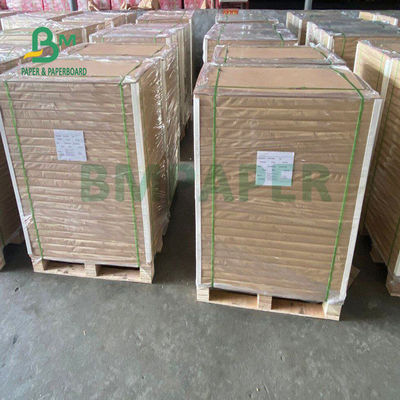 do copo revestido seguro do PE do alimento 150gsm + 10gsm papel baixo para beber