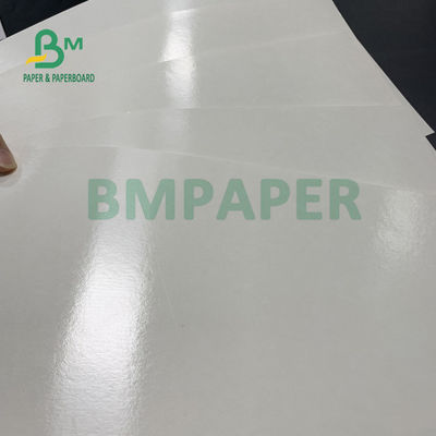 do copo revestido seguro do PE do alimento 150gsm + 10gsm papel baixo para beber