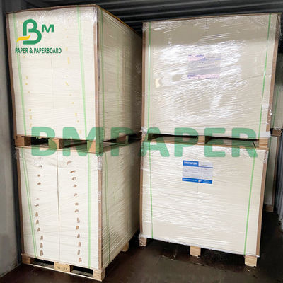 8,26 x 11,8 avançam o papel altamente absorvente do mata-borrão para pressionar flores