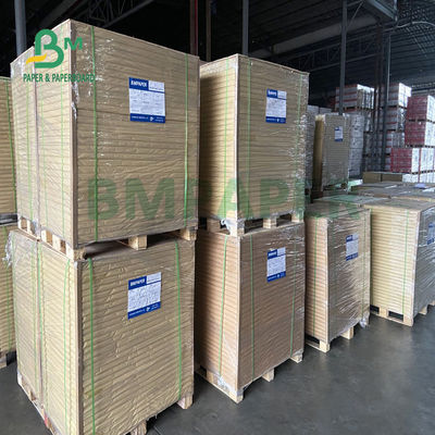 o único PE 180gsm + 18gsm lateral revestiu o papel do copo cobre impermeável