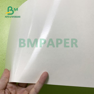 o único PE 180gsm + 18gsm lateral revestiu o papel do copo cobre impermeável