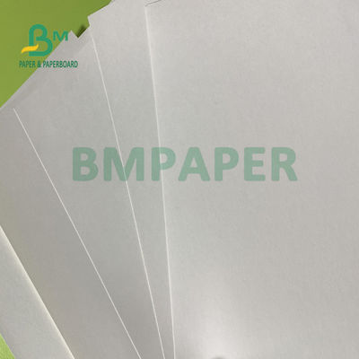 o único PE 180gsm + 18gsm lateral revestiu o papel do copo cobre impermeável