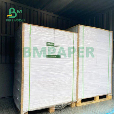 o filme do PE do copo 210gsm+15gsm revestiu o bom brilho de papel 615mm x 850mm