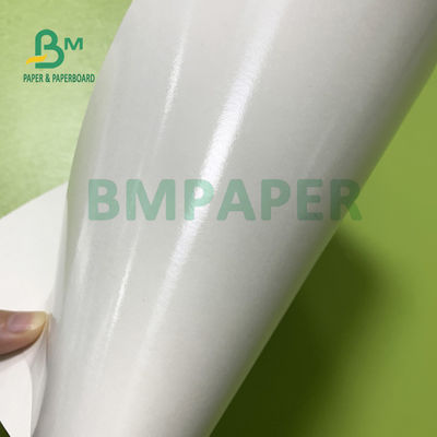o filme do PE do copo 210gsm+15gsm revestiu o bom brilho de papel 615mm x 850mm