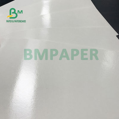 força de alta elasticidade de papel do copo revestido do PE do lado do dobro 210gsm+20gsm